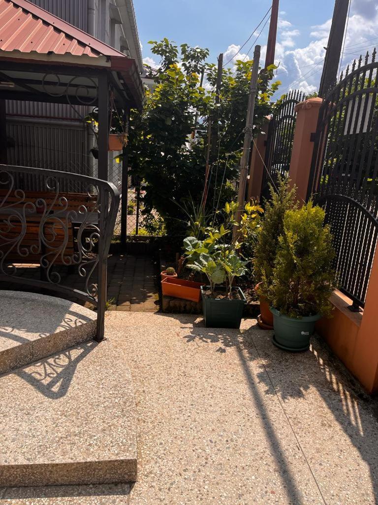 Kobuleti Guest House Chexov 24 Exterior foto