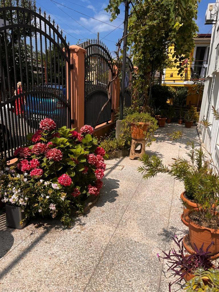 Kobuleti Guest House Chexov 24 Exterior foto